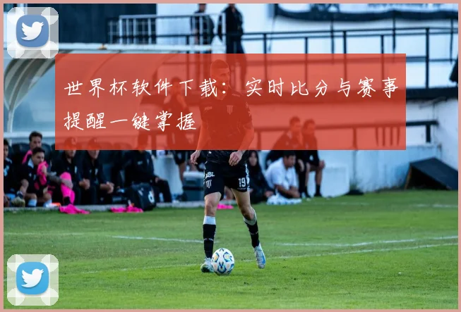 世界杯软件下载：实时比分与赛事提醒一键掌握