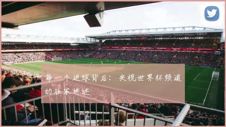 每一个进球背后：央视世界杯频道的独家讲述