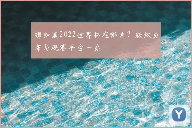 想知道2022世界杯在哪看?版权分布与观赛平台一览