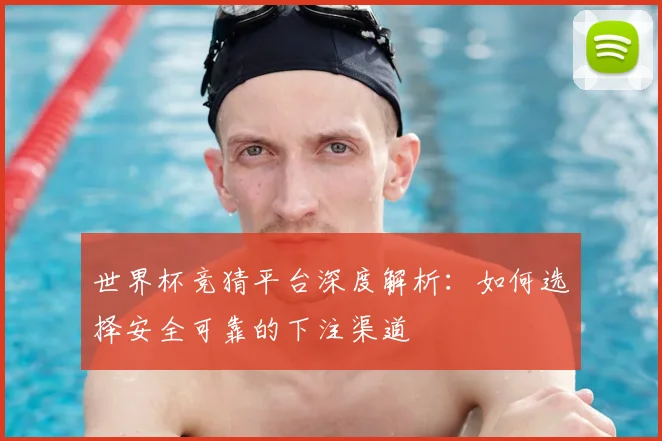 世界杯竞猜平台深度解析：如何选择安全可靠的下注渠道