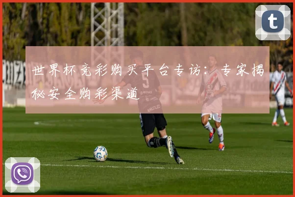 世界杯竞彩购买平台专访：专家揭秘安全购彩渠道