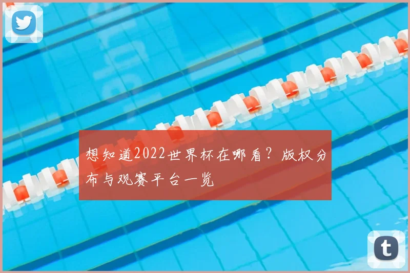 想知道2022世界杯在哪看?版权分布与观赛平台一览