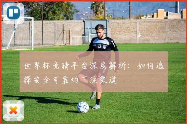 世界杯竞猜平台深度解析：如何选择安全可靠的下注渠道